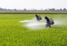 ਹਰਿਆਣਾ ਰਾਜ ਪੱਧਰੀ ਮਨਜ਼ੂਰੀ ਕਮੇਟੀ ਨੇ ਲਗਭਗ 1,122 ਕਰੋੜ ਰੁੁਪਏ ਦੀ ਇੱਕ ਵਿਆਪਕ ਸਾਲਾਨਾ ਕਾਰਜ ਯੋਜਨਾ ਨੂੰ ਦਿੱਤੀ ਪ੍ਰਵਾਨਗੀ